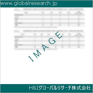 グローバルリサーチ調査資料のイメージ